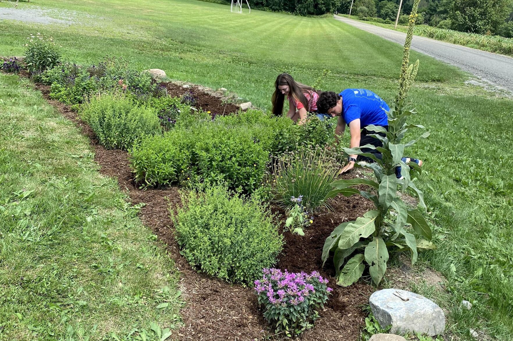 Missisquoi interns 2